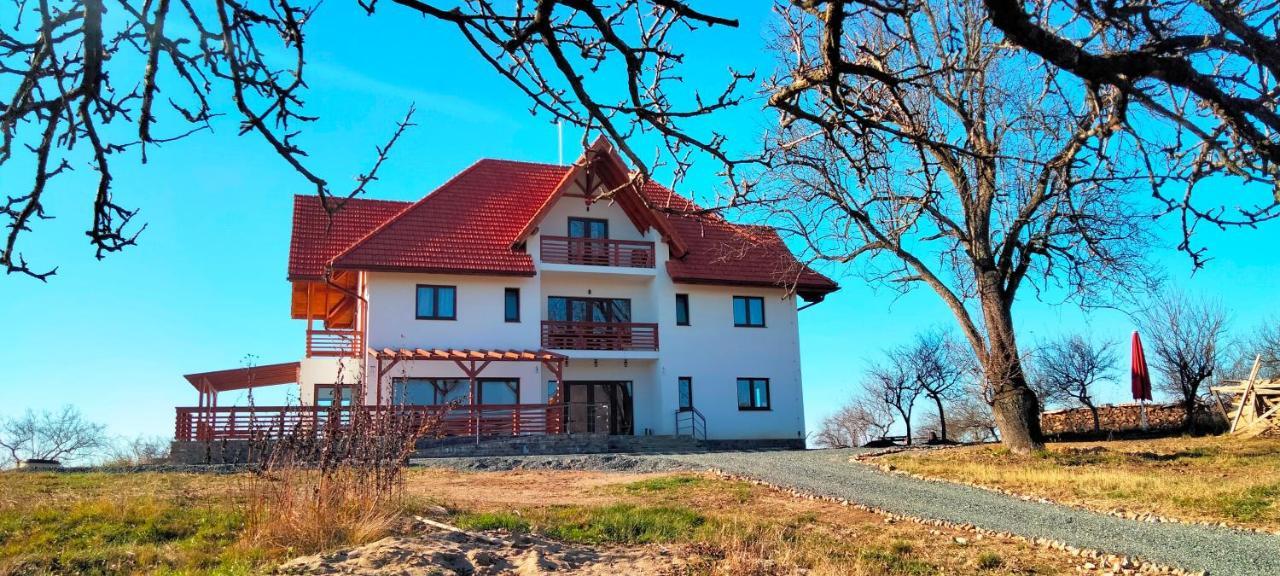 Casa Comilor Bed and Breakfast Surdesti  Eksteriør billede