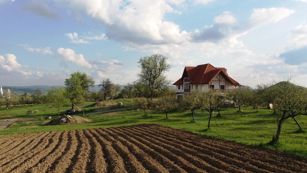 Casa Comilor Bed and Breakfast Surdesti  Eksteriør billede